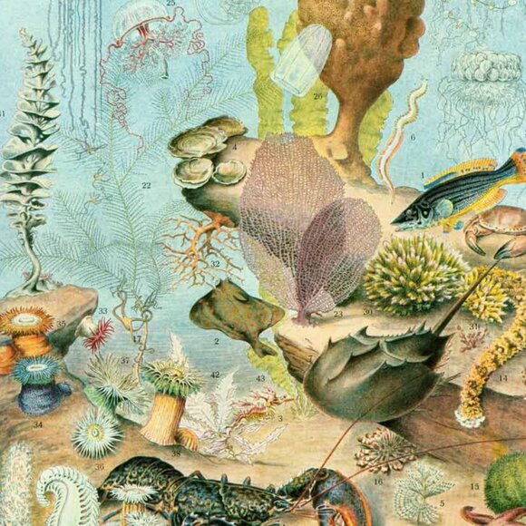 Meet the Posher Other - Meet your Posher, Julia